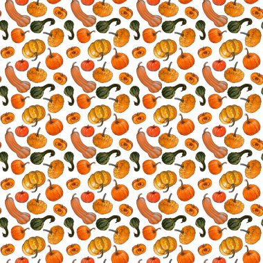 Beyaz arka planda kabaklar, kabaklar ve kabaklar ile dikişsiz sonbahar deseni