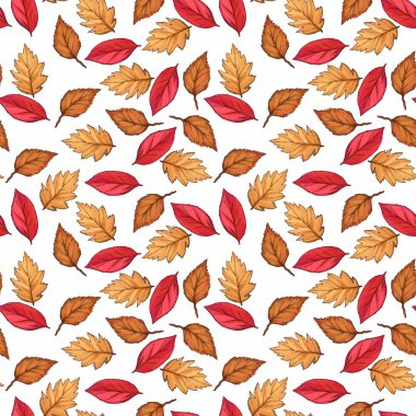 Beyaz arka plan üzerinde düşmüş sonbahar kırmızı yaprakları çeşitli dikişsiz desen