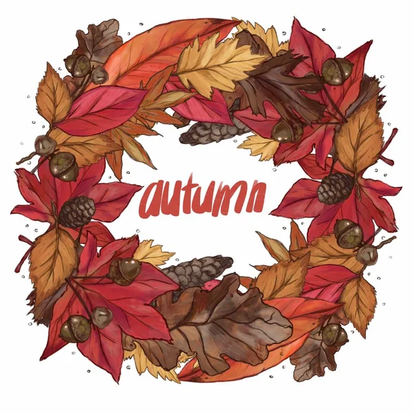 Herbstlicher Rahmen Aus Roten Blättern Eicheln Und Tannenzapfen Auf Weißem — Stockfoto