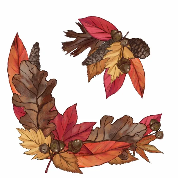 Herbstkranz Aus Roten Blättern Eicheln Und Tannenzapfen Auf Weißem Hintergrund — Stockfoto