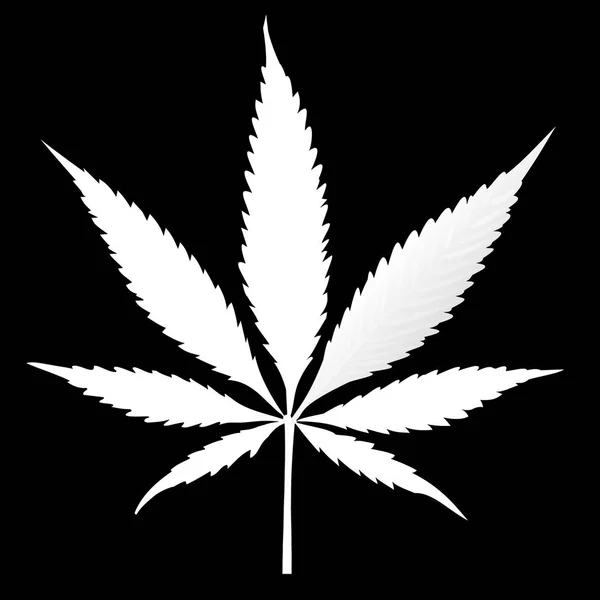 Zwart-wit cannabis verlaat geïsoleerd op witte achtergrond groeiende medische marihuana CBD Stockafbeelding