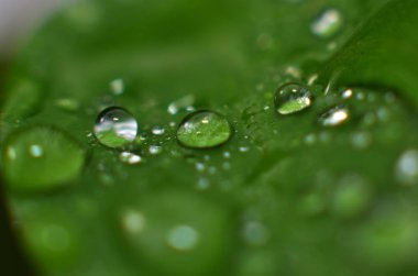 Sabahın geri kalanı temiz.