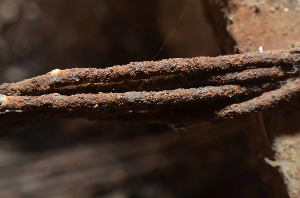 Různé Materiály Vyrobené Železa Jsou Zkorodované Korozní Nebo Rezaví Proces — Stock fotografie