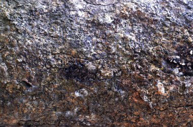 Pepagan da ste en dış tabakası olan kabuğu denir