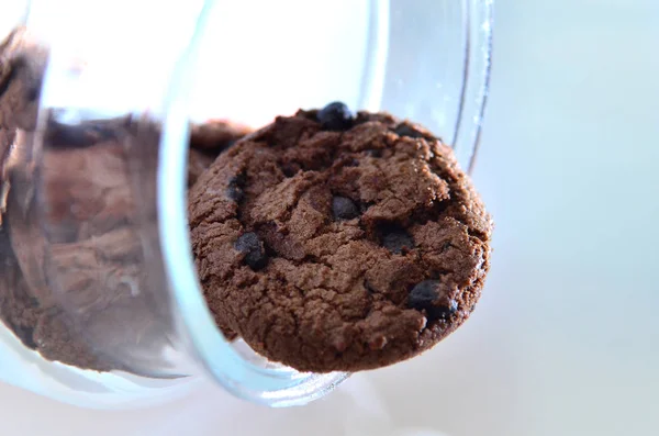 Biscoitos de chocolate mais passas, redondos em forma com um tex áspero — Fotografia de Stock