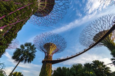 Garden By The Bay Super Tree Marina Bay Sands Hotel arka planda güneş batarken, Singapur