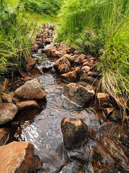 Kleiner schottischer Bach mit Wiese und Steinen