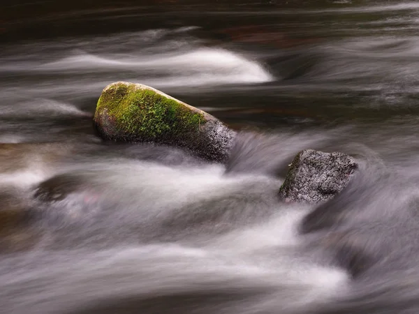 Zwei Bemooste Steine Einem Kleinen Fluss — Stock Photo, Image