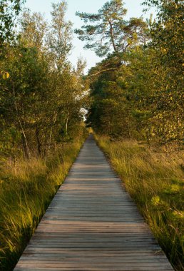 Akşam ışığında bir bozkırda ahşap bir yürüyüş.