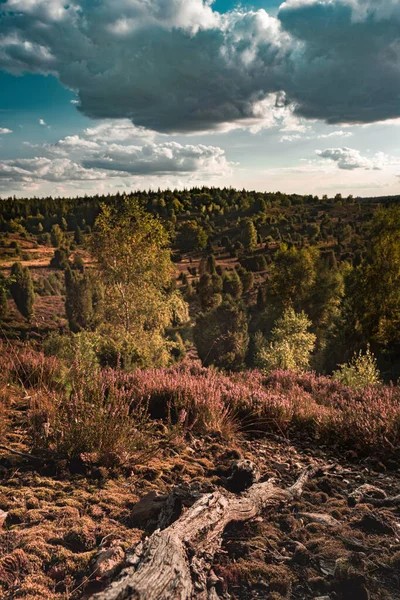 Yazın sonlarında Heathland