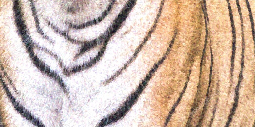 Tiger Fell Struktur Hintergrund