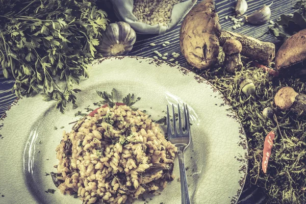 Foto Estilo Vintage Risotto Italiano Con Setas — Foto de Stock