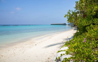 Mavi lagün Maldivler tropik adada eşsiz güzelliği