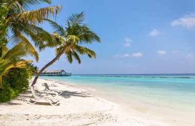 Mavi lagün Maldivler tropik adada eşsiz güzelliği