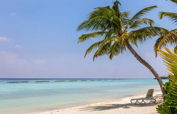 Incroyable Lagune Bleue Île Tropicale Aux Maldives — Photo