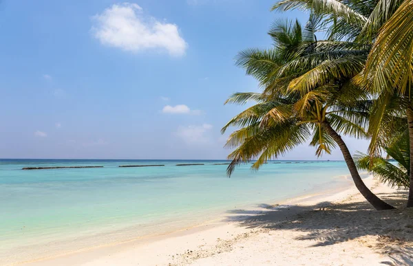 Harika mavi lagün ve tropikal ada Maldivler