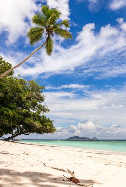 Kumlu plaj ve turkuaz Hint Okyanusu de Seyşeller pastoral sahne