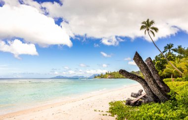 Kumlu plaj ve turkuaz Hint Okyanusu de Seyşeller pastoral sahne