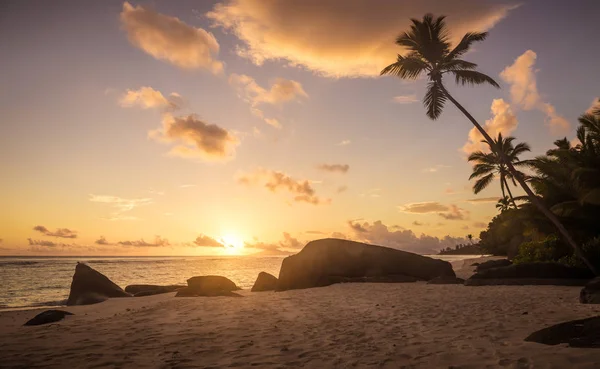 Amazing Sunrise Silhouette Island Seychelles — Stock Photo, Image