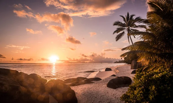 Fantastiska Sunrise Silhouette Island Seychellerna Royaltyfria Stockfoton
