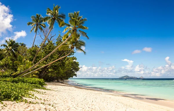 Idylliska Landskapet Sandstrand Och Turkos Indiska Oceanen Seychellerna Royaltyfria Stockbilder