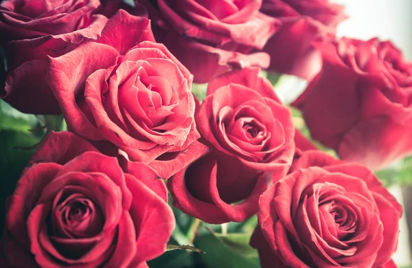 美しい新鮮なカット赤いバラ花束のクローズ アップ — ストック写真
