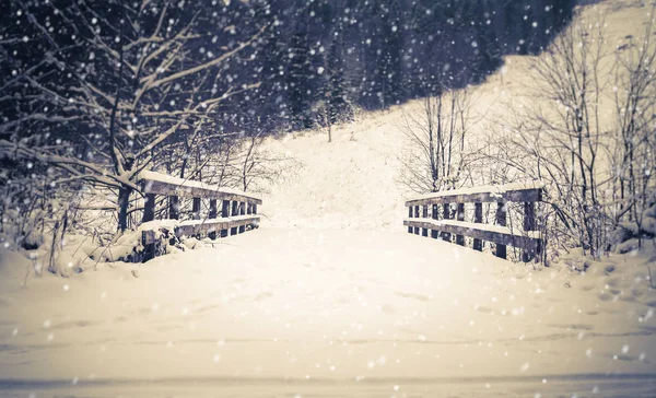 Paisagem Inverno Ponte Coberta Neve Floresta — Fotografia de Stock