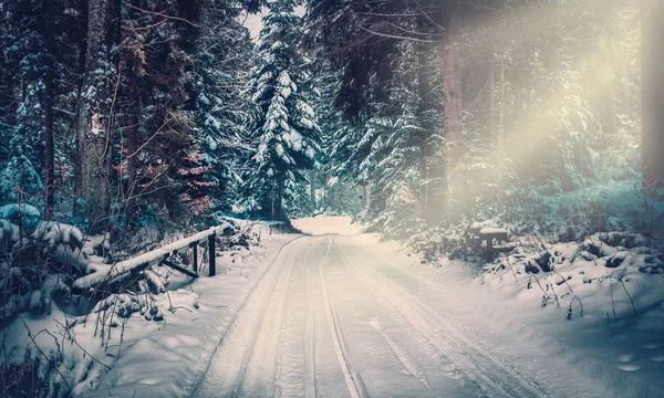 Paisagem Inverno Estrada Coberta Neve Floresta Densa — Fotografia de Stock