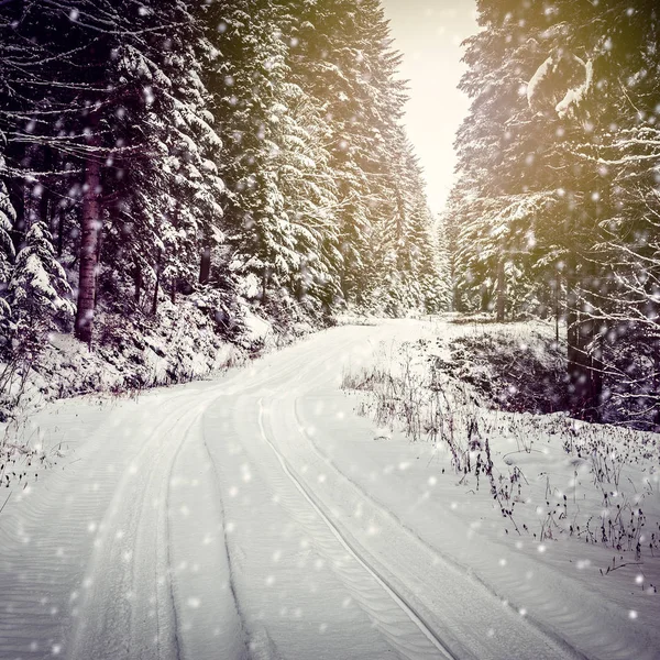 Winter Landscape Road Covered Snow Dense Forest — Stock Photo, Image