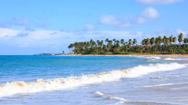 Sandy beach Dominik Cumhuriyeti