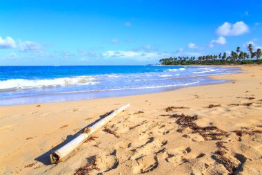 Sandy beach Dominik Cumhuriyeti