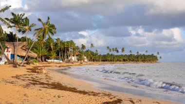 Sandy beach Dominik Cumhuriyeti