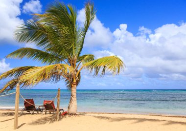 Dominik Cumhuriyeti ülkesindeki güzel kumlu plaj