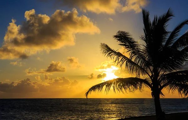 Bella Alba Sul Mare Dei Caraibi Nella Repubblica Dominicana — Foto Stock