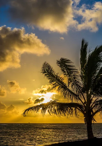 Mooie Ochtend Het Caribische Strand Dominicaanse Republiek — Stockfoto