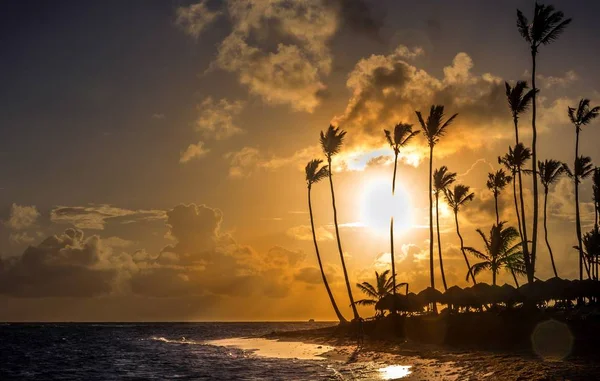 Beautiful Sunrise Caribbean Sea Tall Leaning Palm Trees Dominican Republic — Stock Photo, Image