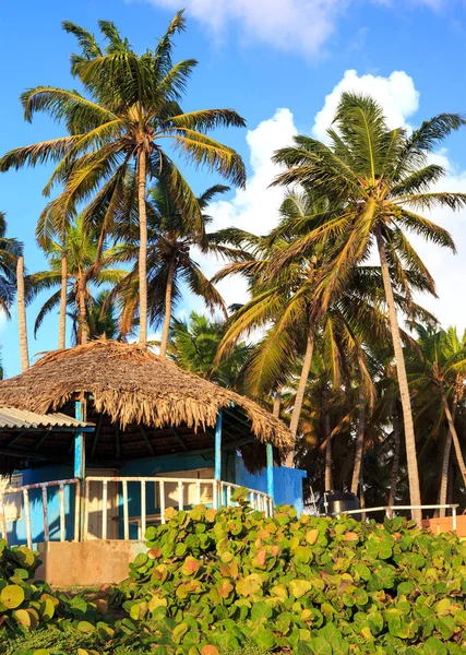 Typische Blauwe Huis Aan Kust Dominicaanse Republiek — Stockfoto