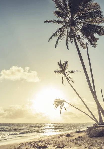 Beautiful Sunrise Caribbean Sea Dominican Republic — Stock Photo, Image