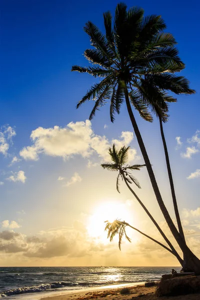 Beautiful Sunrise Caribbean Sea Dominican Republic — Stock Photo, Image