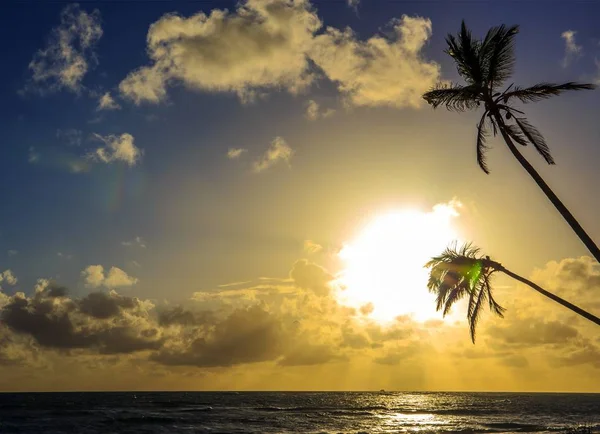 Bella Alba Sul Mare Dei Caraibi Nella Repubblica Dominicana — Foto Stock