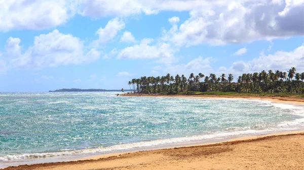 Zandstrand Dominicaanse Republiek — Stockfoto