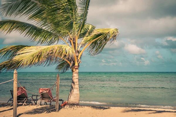 Beautiful Sandy Beach Dominican Republic — Stock Photo, Image