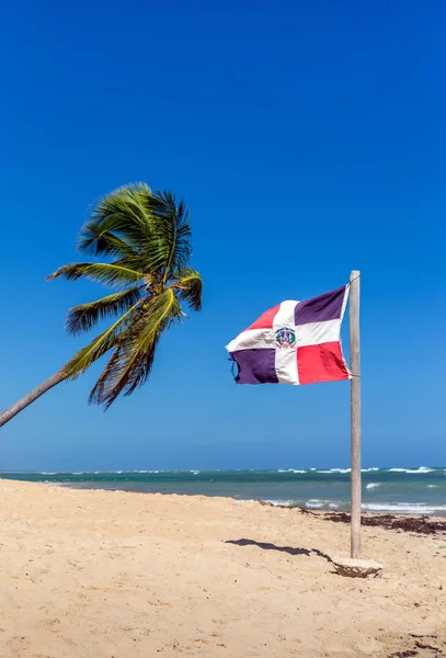 Піщаний Пляж Дерево Пальми Прапор Домініканської Республіки — стокове фото