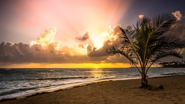 Hermosa Mañana Playa Caribeña República Dominicana — Foto de Stock