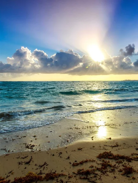 Beautiful Morning Caribbean Beach Dominican Republic — Stock Photo, Image
