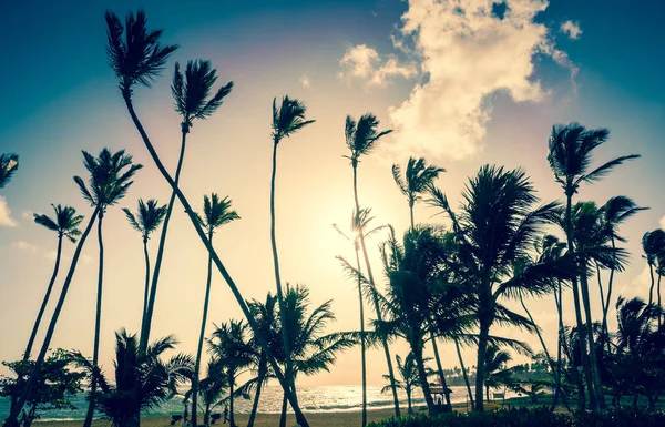 Гарний Схід Сонця Над Карибське Море Домініканській Республіці — стокове фото