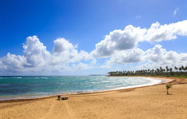 Piaszczysta Plaża Dominikana Obrazek Stockowy