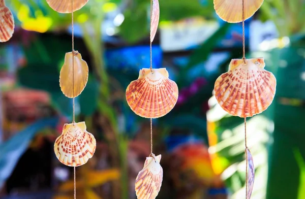 Sea Shells Souvenirs Somewhere Dominican Republic — Stock Photo, Image
