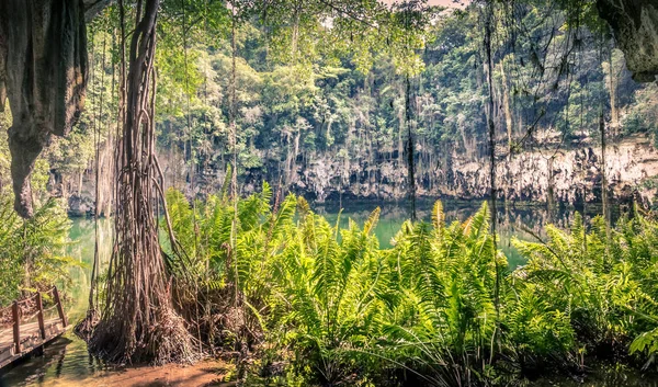 Cenote Santo Domingo República Dominicana —  Fotos de Stock