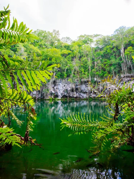 Cenote Santo Domingo Dominikanska Republiken Stockbild